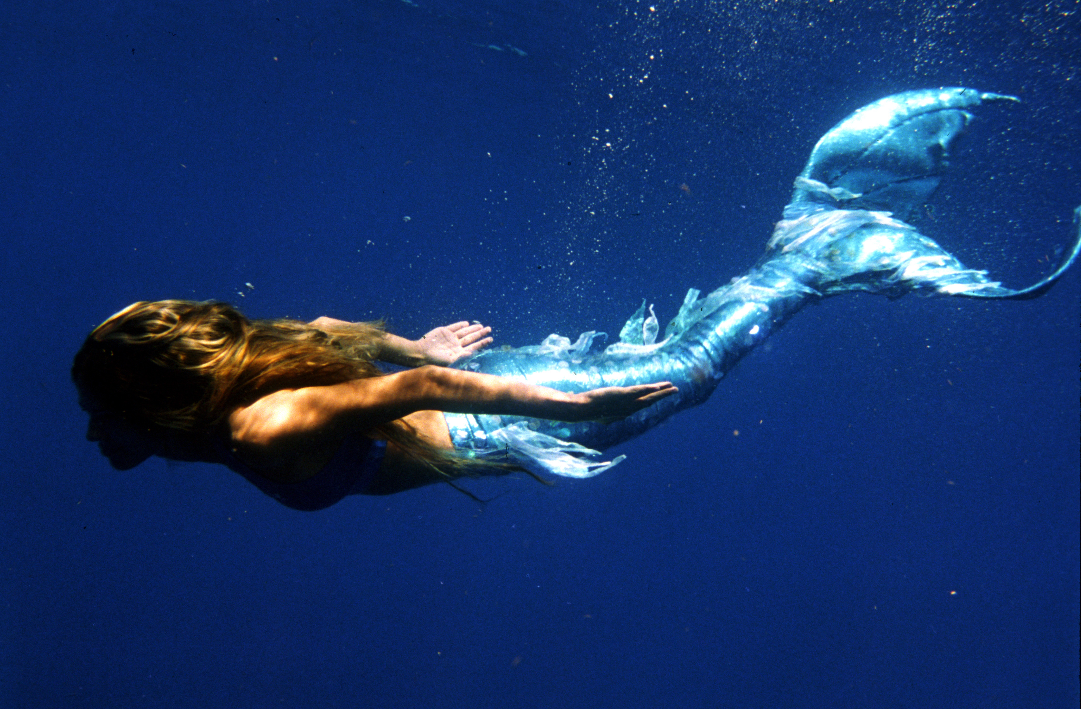 Michigan’s Mermaid Swim School Makes Waves  Underwater Audio