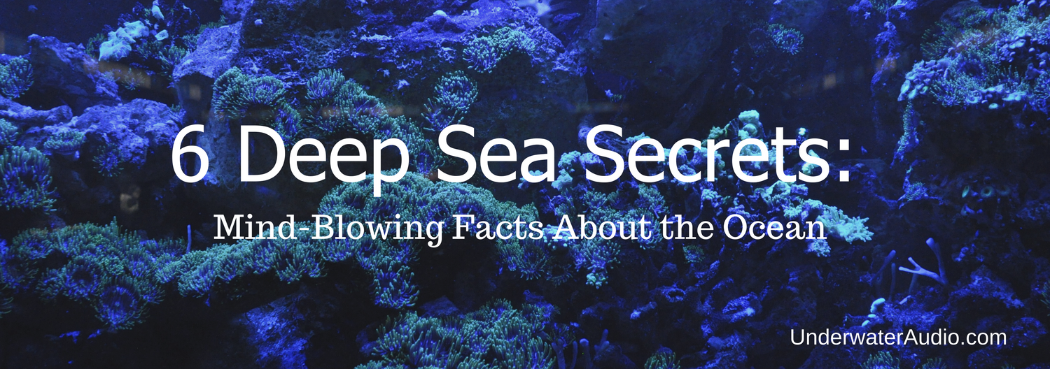 6 Deep Sea Secrets: Mind-Blowing Facts About the Ocean - Underwater Audio