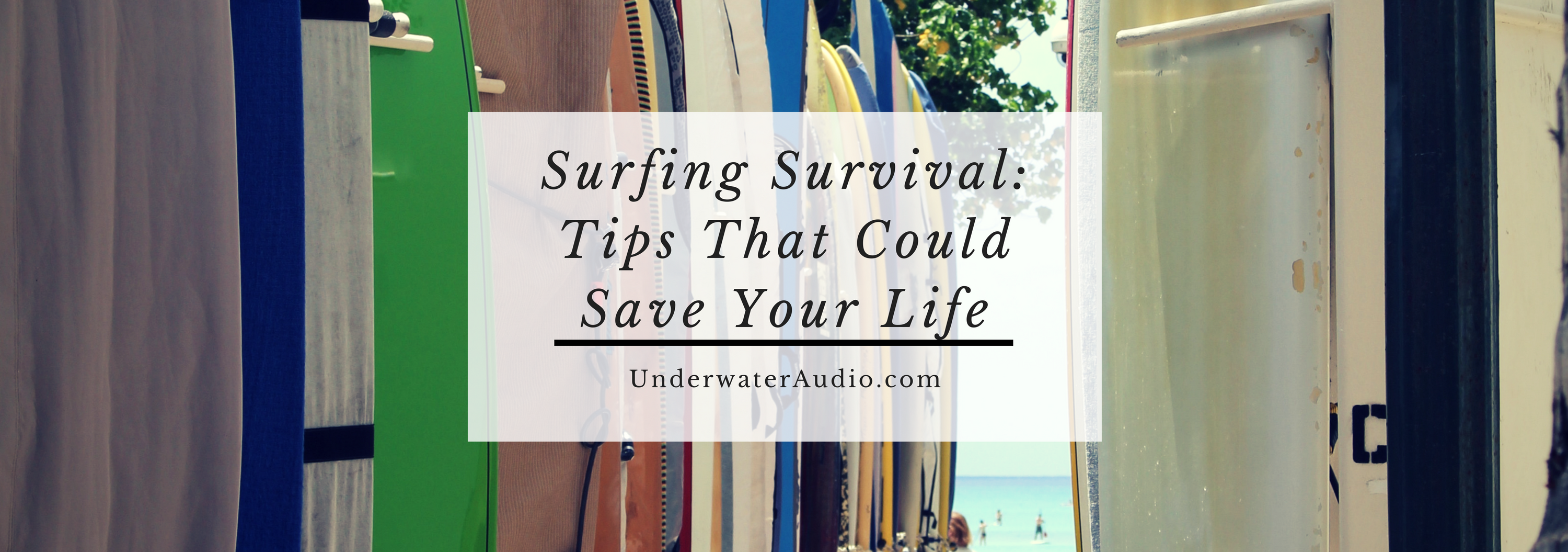 Surfing Survival: Tips That Could Save Your Life