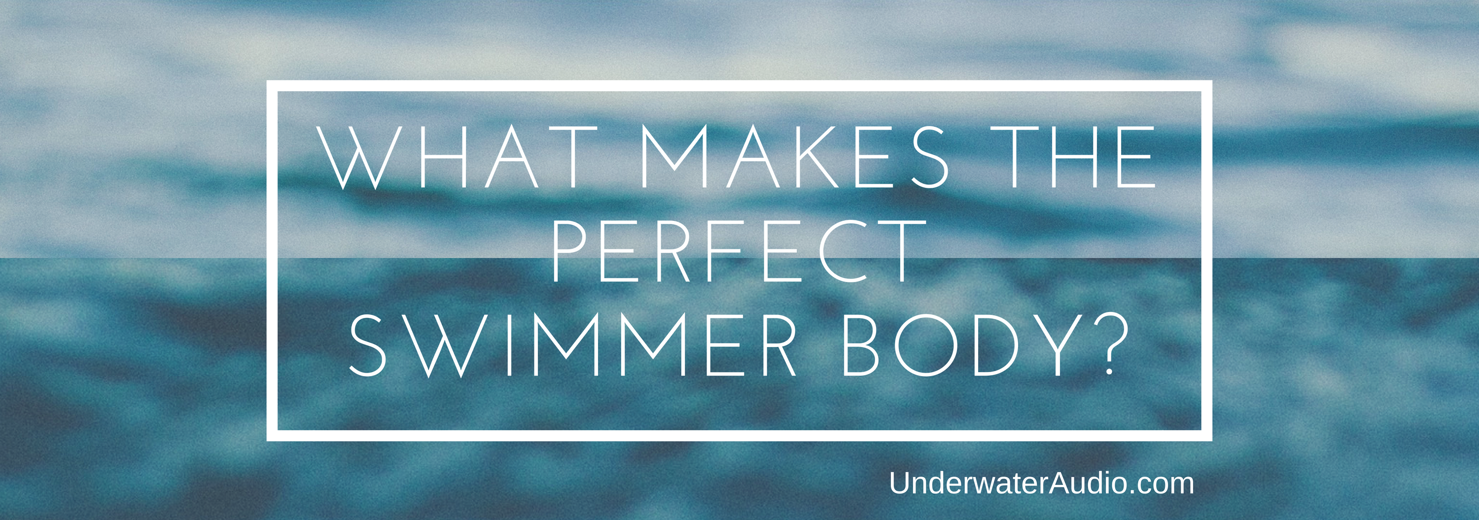 What Makes the Perfect Swimmer Body?