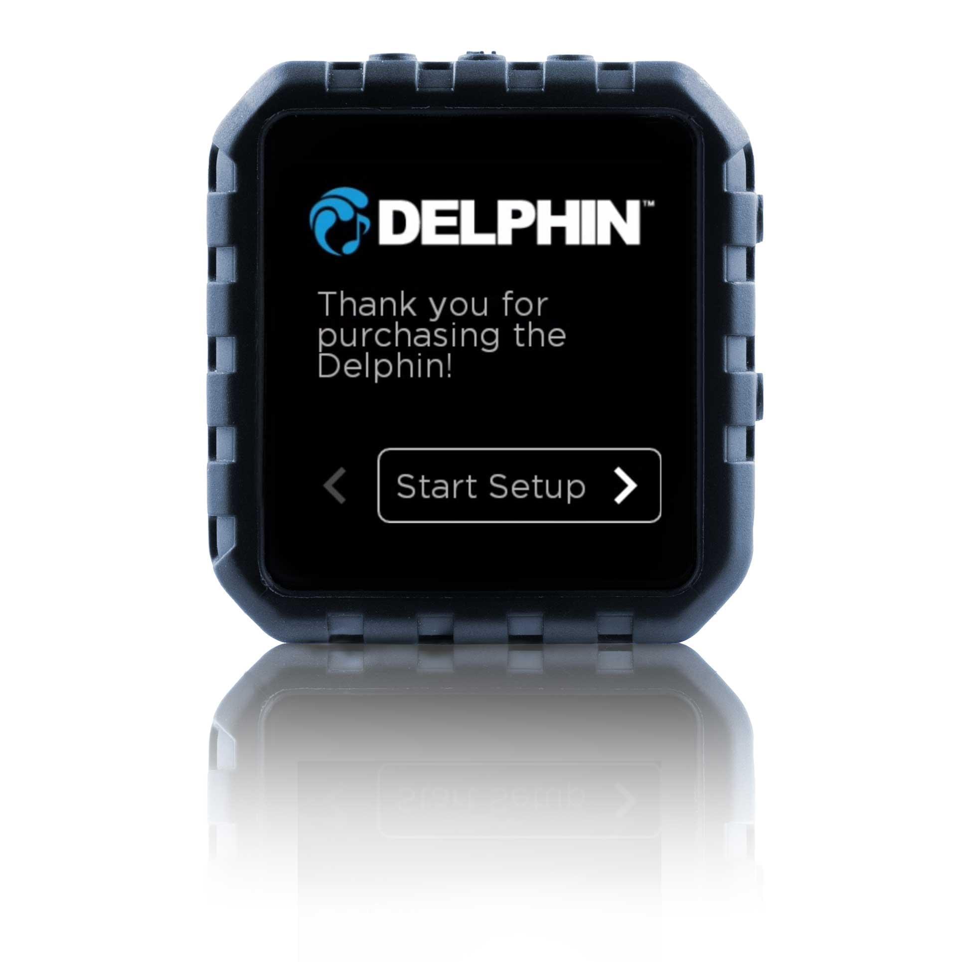 Delphin Setup Service